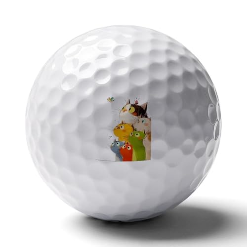 킢 L̖ St{[ St@[p Kp H{[ UV zCg  {[ |[^u  v[g Mtg lC j җj ސEj ̓ hV̓ a 蕨