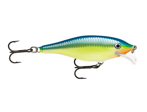 Rapala Scatter Rap Shad 07 Live Pumpkinseed Lure