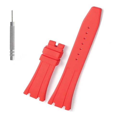 [NHHNSW] o[EHb`Xgbv27mmEHb`ohAP 15703 26470SOCI[NItVAX|[cEHb`XgbvuXbg