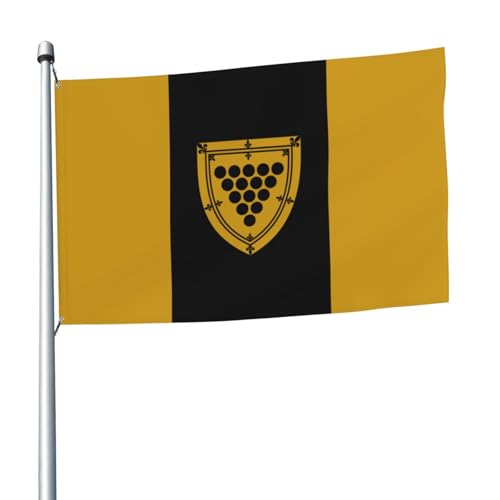 Drapeau du comté de Cornwall de qualité extérieure aux finitions soignées