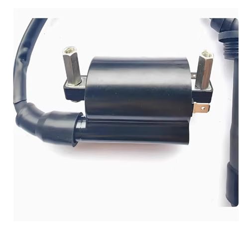 Bobina de encendido Benelli TNT25 para solucionar fallos de arranque en moto 2