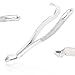 AAPROTOOLS German Grade EXTRACTING Forceps # 10H Dental Instruments Extraction Forceps A+ Quality