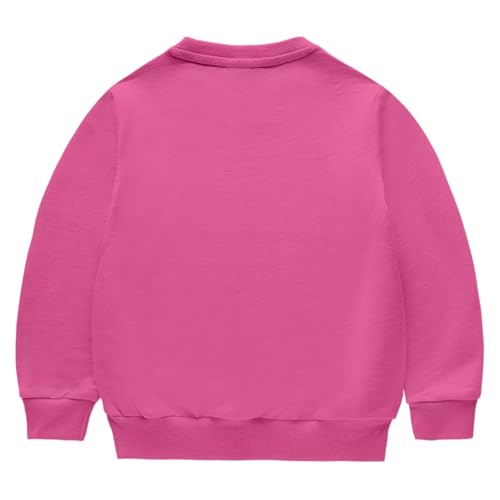 Boys Girls Casual Cotton Set Outfit Kids Long Sleeve Crewneck Pullover Sweatshirts and Athletic Drawstring Pants with Pockets2