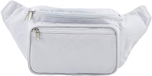 sojourner fanny pack