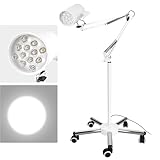 Helivivfy Exam Lamp - 12-Hole Medical Examination Shadowless Surgical Lamp with Stainless Steel Base and...