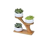 Kipokalor 3pcs Round 6.5x4.6cm Succulent Pots with 3 Tier Bamboo Saucers Stand Holder,Modern Minimal
