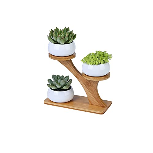 Kipokalor 3Pcs Round 6.5X4.6Cm Succulent Pots With 3 Tier Bamboo Saucers Stand Holder,Modern Minimalist White Ceramic Succulent Planter Pot For Office,Desk,House Balcony Landscape Creative Decorative. #TOP4