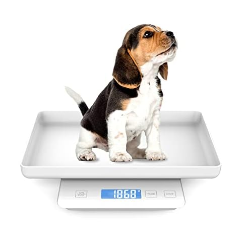 Multifunktionale Haustierwaage für Neugeborene mit einem Tablett, um Katzen und Welpen zu wiegen, 15 kg mit Genauigkeit ± 0,85 g, geeignet für Haustiere und Küche, Tablett-Größe 29,8 x 22,9 cm (weiß) Cover