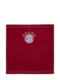 FC Bayern München