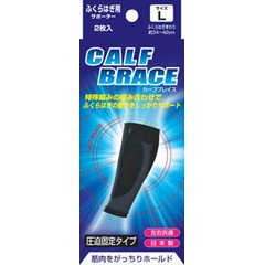 V uCXT|[^[ ӂ͂ J[tuCX LTCY 2