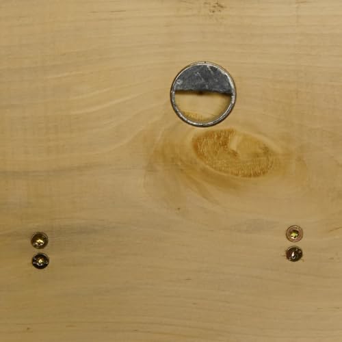 GTK - Geweihe & Trophäen KRUMHOLZ Geweih Garderobe mit 6 Haken aus Hirschspitzen auf Holzbrett Rehgeweih Wandgarderobe Unikat 27.8.99