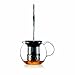 Bodum 34oz Assam Glass Tea Press with Stainless Steel Filter, Brushed