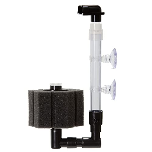 `CX GtoCIX S-Q-S X|WtB^[ zՃ^Cv VOX|W