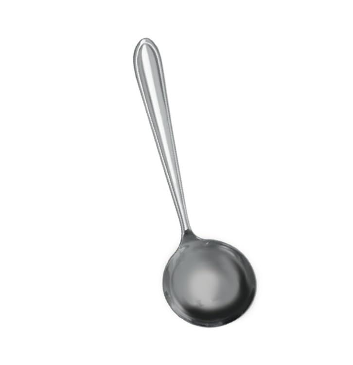 CONCHA INOX SILVER 29CM - CM48
