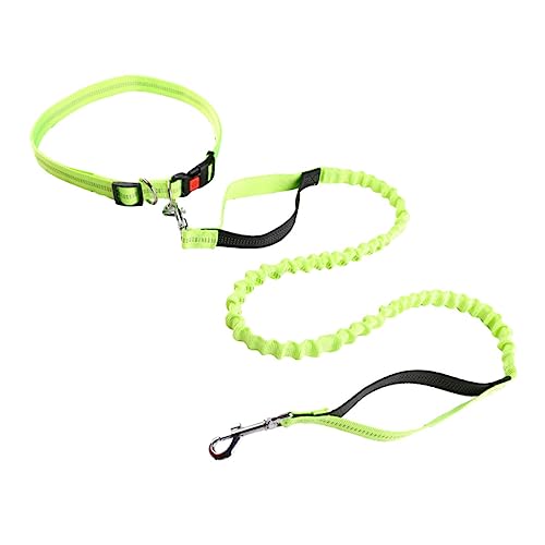 MILISTEN Correa para Mascotas Correa Elástica para Cachorros Cinturón para Perros SOGA Correa para Correr Cuerda De Perro Reposacabezas Perro Coche Masticadores Light Green Aleación De Zinc