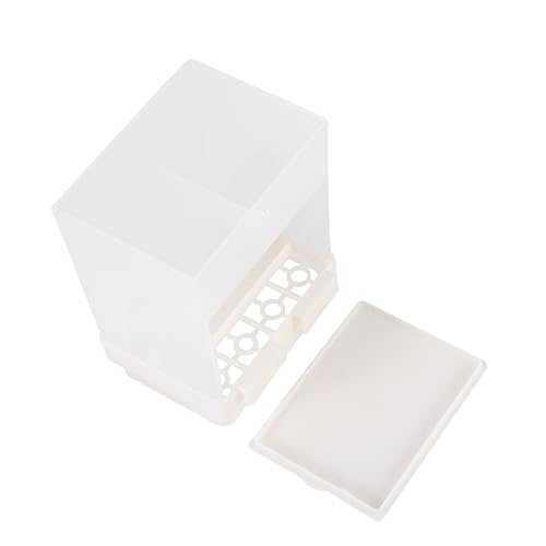 Toyvian Automatic Parrot Feeding Bowl Beige Drinking Dish for Birds Easy to Install Durable Feeder for Parrots Birds Convenient Food Water Accessory