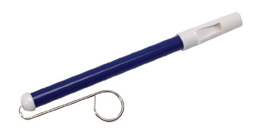 Schylling Slide Whistle Toy