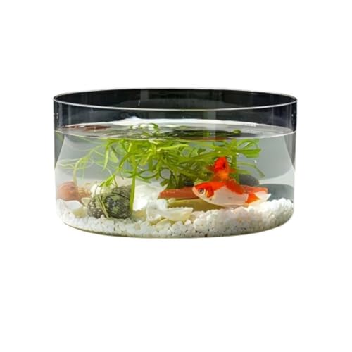 Quirix金魚鉢プラスチック透明金魚アクリル飼育サバ鉢戸外観葉植物室内カエル容器ル水培養大容量おしゃれ飼育容器大型飼育鉢テーブル水族館ボウ (大きな円)