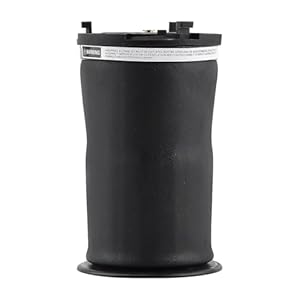 DZWDY Luftfeder Hinten Stoßdämpfer Hummer H2