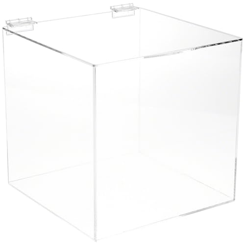 Plymor Clear Acrylic Display Case Box with Hinged Lid, 10" x 10" x 10"