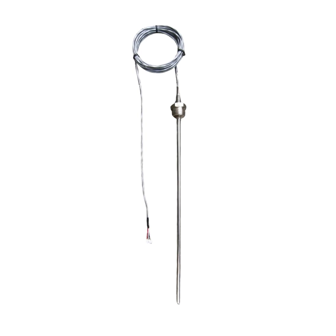 VIGITAL- TEMPERATURE SENSOR RTD PT-100 OD 6MM, LENGTH 300mm 1/2 BSP-image-39