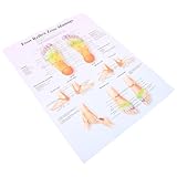 DECOMELODY Fußreflexzonen Massageposter Medizinische Wanddekoration für Fußanatomie Lernposter für Praxis Klassenzimmer Gesundheitsinstitutionen