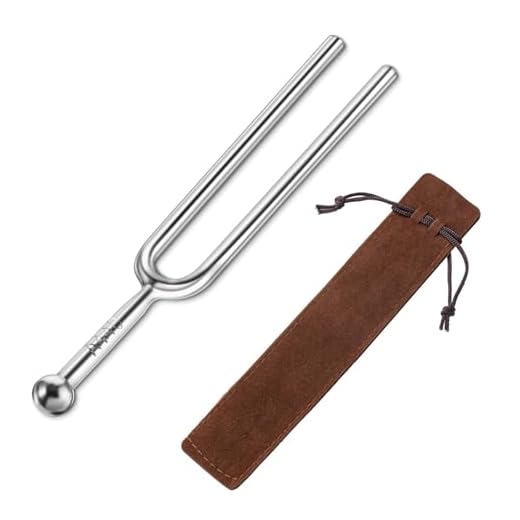 EUYKQNOI 1 Pieza Diapason,Diapason musical,Diapason 440hz,Diapason medico,Con bolsa de almacenamiento,Para instrumentos estándar, afinador de piano, guitarra y violín