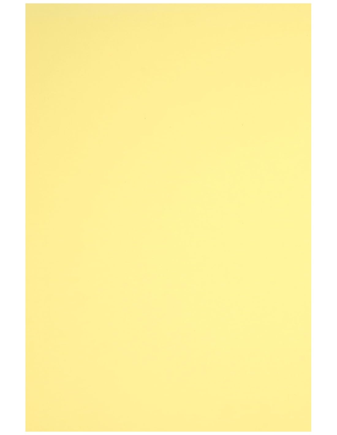 Netuno 250 Sheets Light Yellow Colored Paper A4 210 x 297 mm 8.27 x 11.69 in 160 GSM Rainbow for Printing Crafts Office Presentations Photocopies
