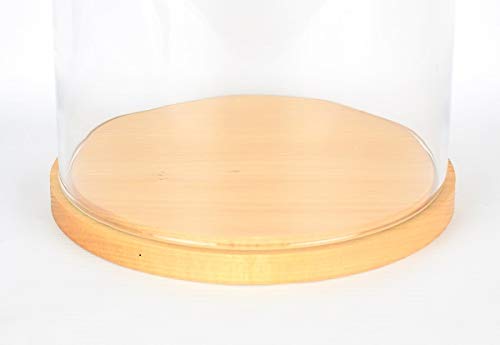 EMH - Espositore a cupola in vetro con base in legno, altezza 41,5 cm