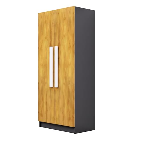 Image of Bniture Wooden Almirah for Clothes, Wardrobe for Bedroom, 2 Door Wardrobe with 4 Shelves Huge Storage Space (46D x 80W x 182H CM) | 3 Year Warranty (Slate Grey & Giant Wood)