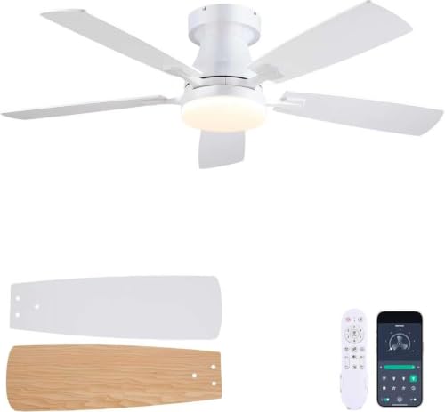 iacaf 48 Inch Ceiling Fans with Lights image