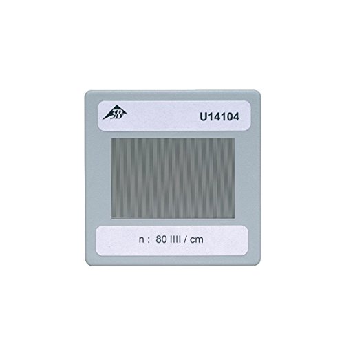 3B Scientific U14104 Reticolo Inciso