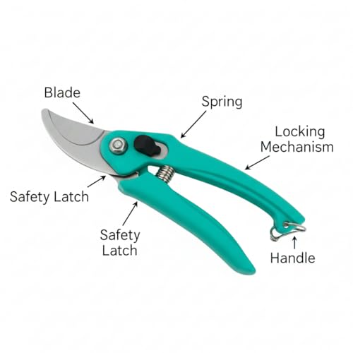 Image of Hand Pruner Cutter - 1 Piece (Green Colour) | Heavy Duty Gardening Tools Grass Cutter, Plant Cutter for Home Garden, Wood Branch Trimmer, Garden Tools Accessories (Steel Blades, Assorted)