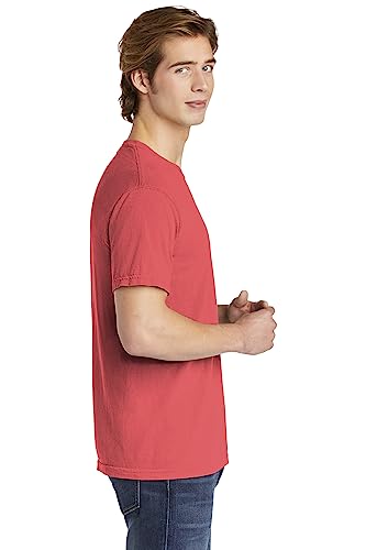 Image of Comfort Colors Adult Short Sleeve Tee, Style G1717