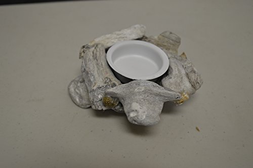 Nautical Tropical Imports Drift Wood And Sea Shells Tea Light Candle Holder Home Decor 2 Inch H #TOP1