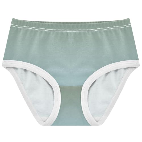 Joisal Camouflage Green Light Blue Gradient Panties Little Girl Toddler Girls Underwear Cotton Funny Briefs Kids Undies 2t