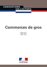 Download Commerces de gros - Convention collective nationale étendue - 28ème édition - Brochure n° 3044 - IDCC : 573 PDF