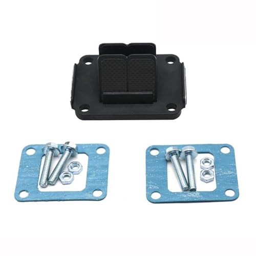 Valve à lames en fiber de carbone pour moto ZM125 KR125 KX65 KX80