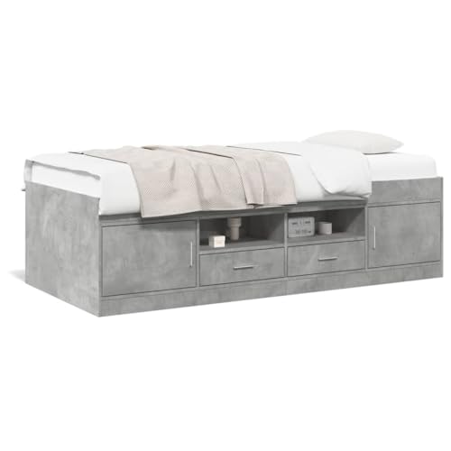 Faroom Cama de día con espacio de almacenamiento, sofá cama con 2 cajones y somier, cama individual de madera, cama individual de 100 x 200 cm, cama funcional de almacenamiento, cama juvenil, cama
