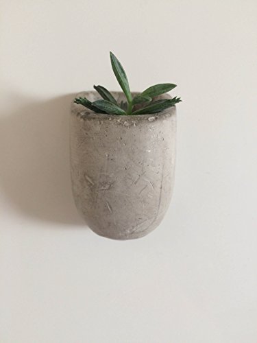 Gift Republic GR450067 Jardinière aimantée Gris 5 x 16,5 x 13 cm – Image 3