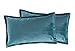 Moon Lot de 2 Housses de Coussin, Housses de Coussin, Coussins de décoration, Housse de Coussin décoratif, env. 30x50 cm, en Velours Noble, Flora (Turquoise)