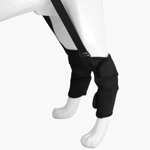 Image of Mipcase 4 Pairs Pet Knee Pads for Braces Dog Front Leg Brace Dog Walking Assist Belt Knee Sleves Shin Guard Sleeves Dog Supply Leashes Neoprene Puppy