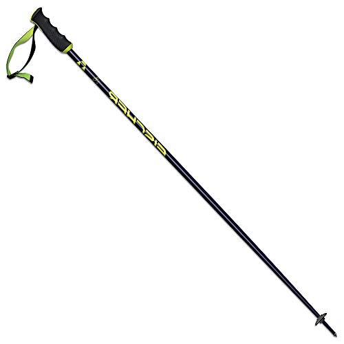 Fischer RC4 SL