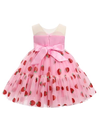 Baby Girl Daisy Strawberry Confetti Birthday Dress Pageant Tea Party Easter Outfits Toddler Princess Fancy Ball Gown2