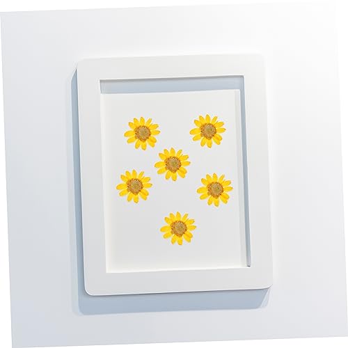 120 flores secas margaritas para manualidades y decoración miniatura 4