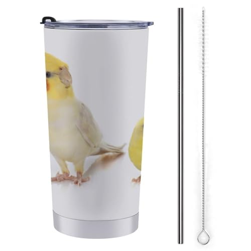 CR IE  ԗpRbv ԗp^u[  ԃJbv }OJbv ۉۗ XeX _CNg^Cv R[q[Jbv J[pi RrjJbv t^t 600ml Ԓ