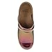Dansko Professional Slip-On Clogs for Women - Rocker Sole and Arch Support for Comfort - Ideal for Long Standing Professionals - Healthcare Professionals Passion Colorshift 9.5-10 M US
