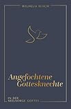 Angefochtene Gottesknechte: In der Seelsorge Gottes (Stärkung im Glaubensleben)