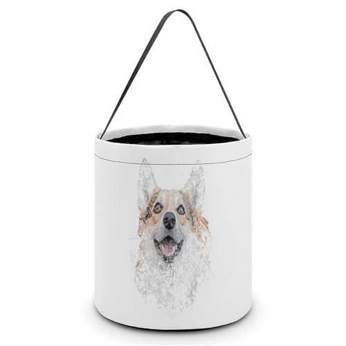 nEB LfBoXPbg 킢 R[M[ ̈D LfB َq Rei 񂰑 y p[eB[LOi v[g OWp