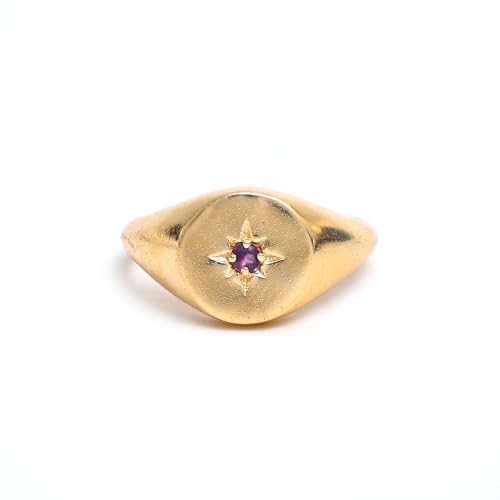 Gempires Purple Amethyst North Star Signet Rings with 14K Gold Plated, February Birthstone, Lightweight, Statement Rings for Women, Simple Everyday Jewelry, US Size-8 - Image 3